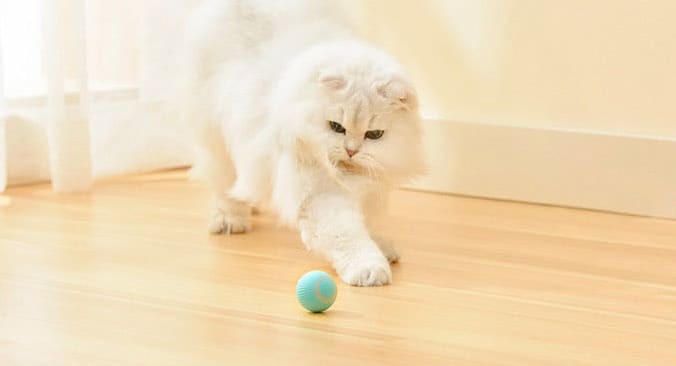 Magicball - Pelota eléctrica